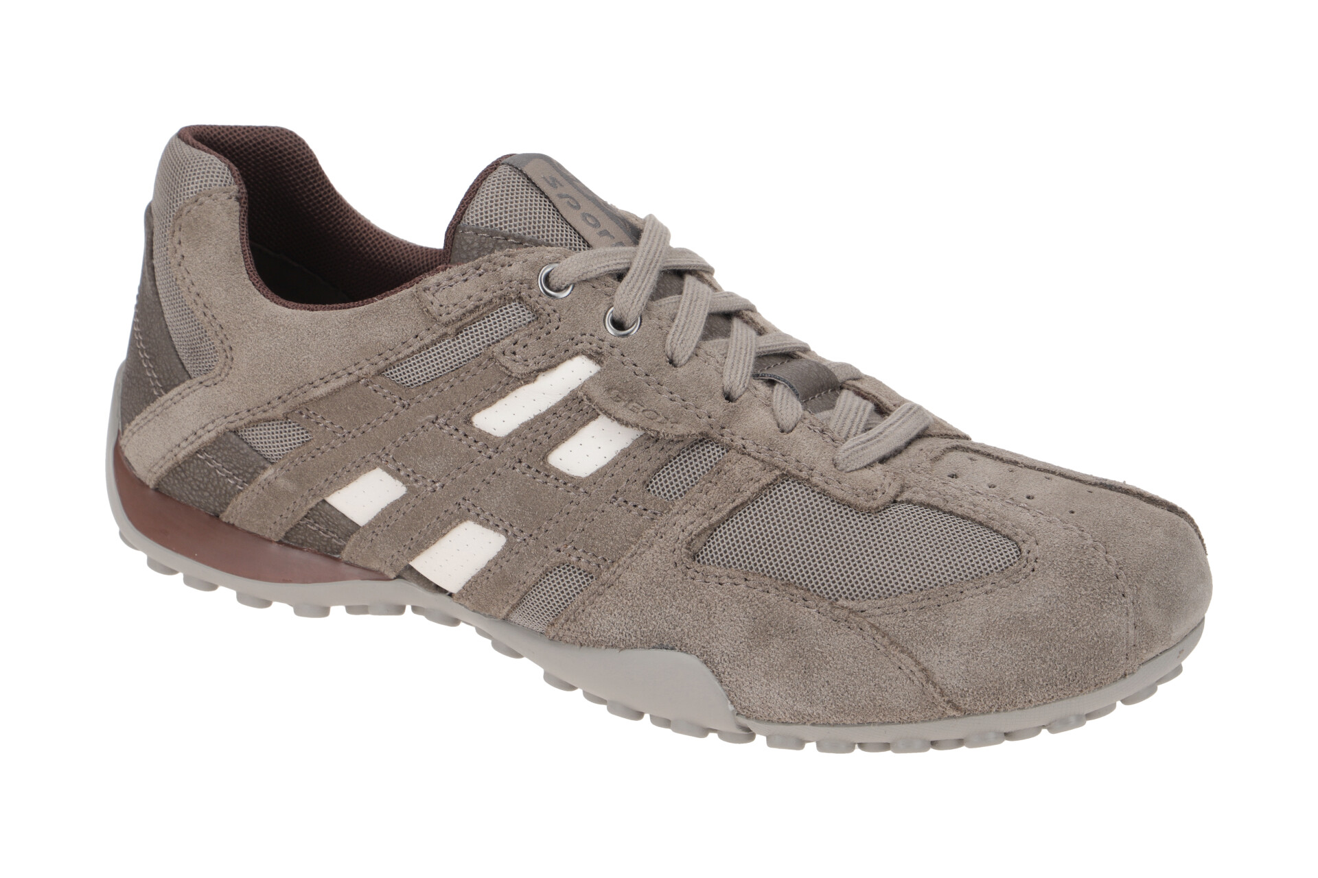 Geox Snake Schuhe Sneakers F R Herren In Taupe U K C